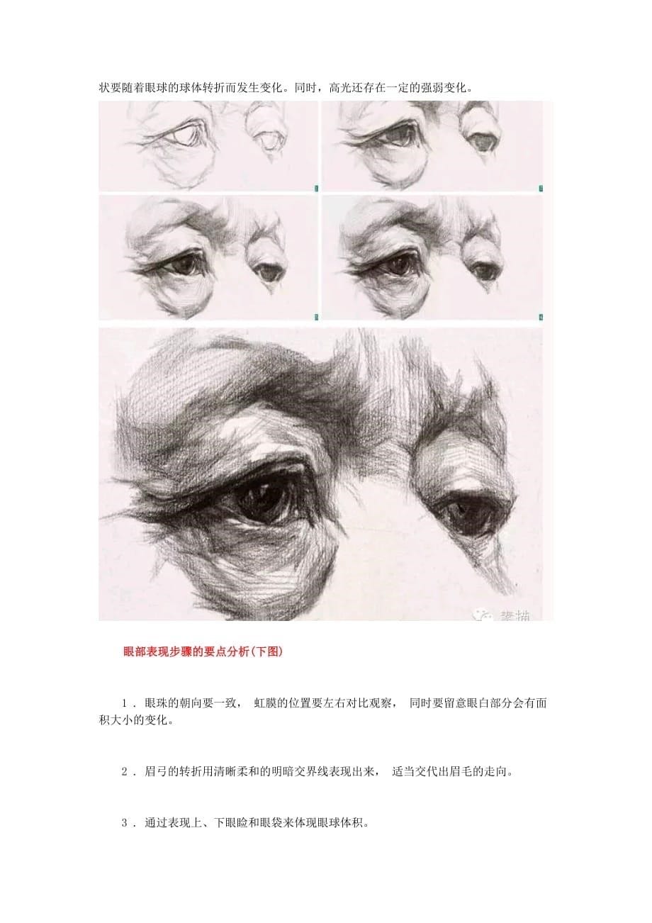 素描眼睛讲解分析_第5页