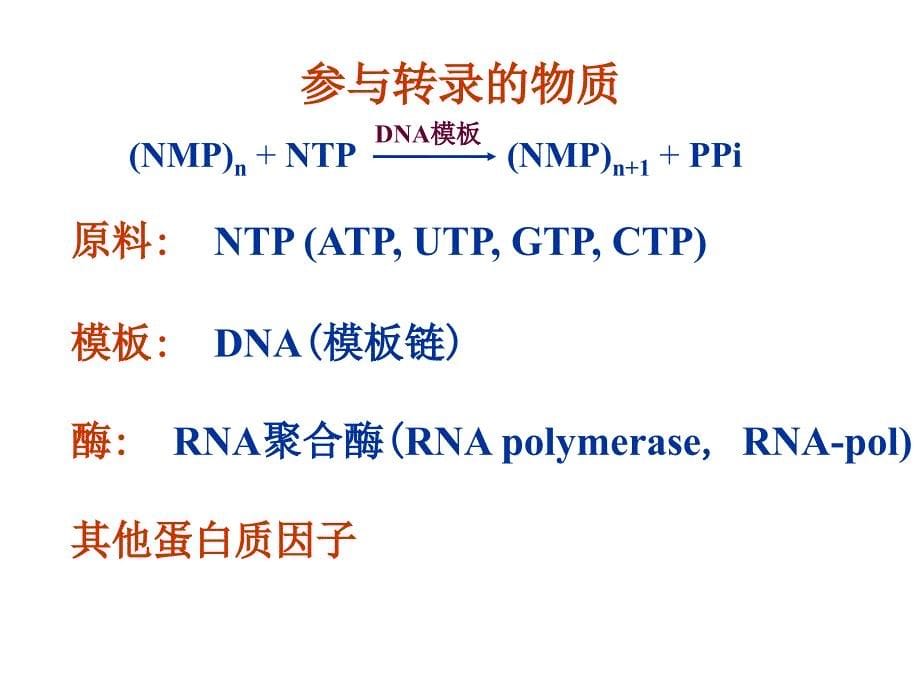 第四章 rna的生物合成_第5页