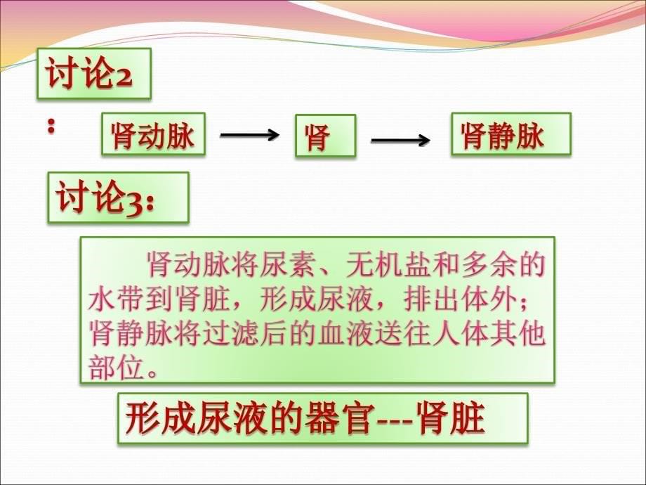 人体内废物排出课件23_第5页