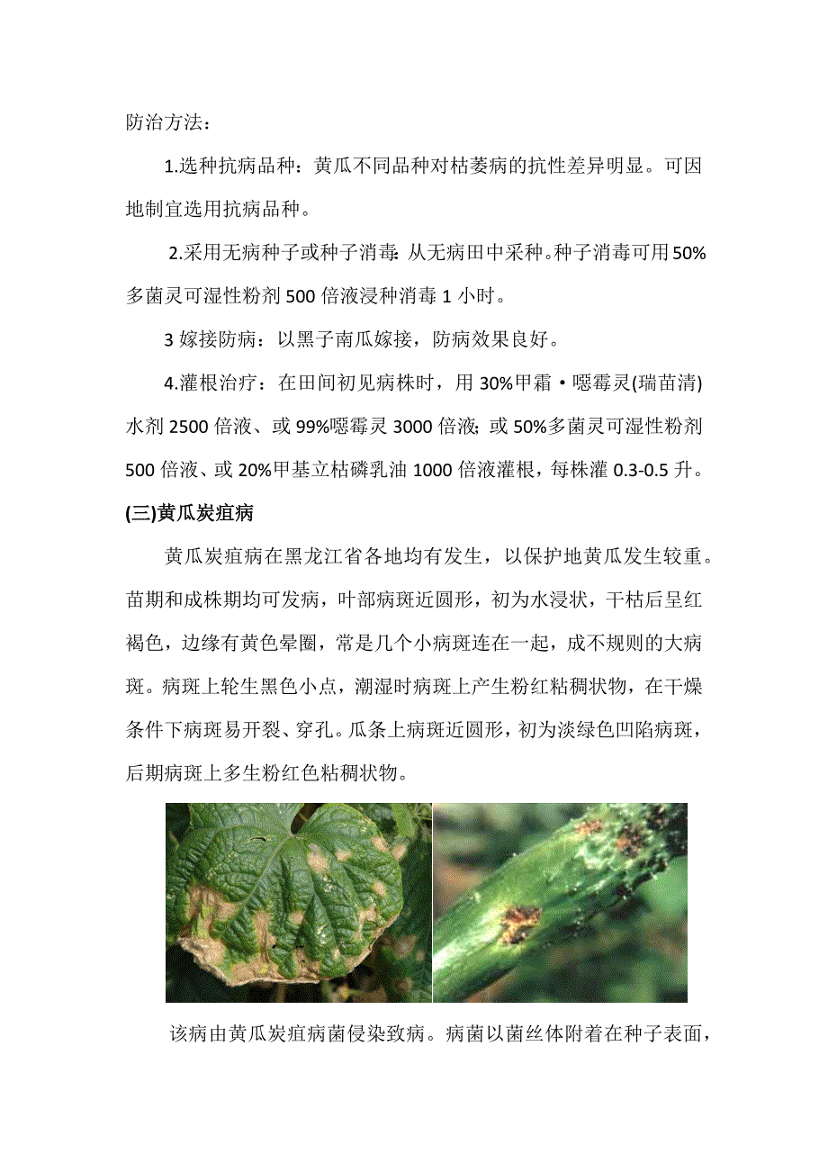 瓜类病虫草鼠害_第4页