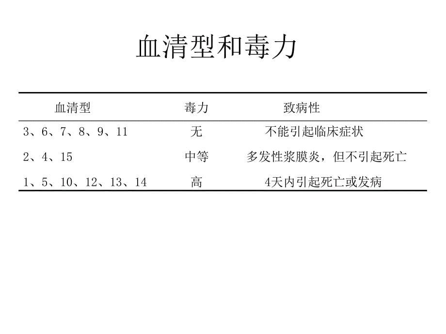 【医学ppt课件】副猪嗜血杆菌病_2_第5页