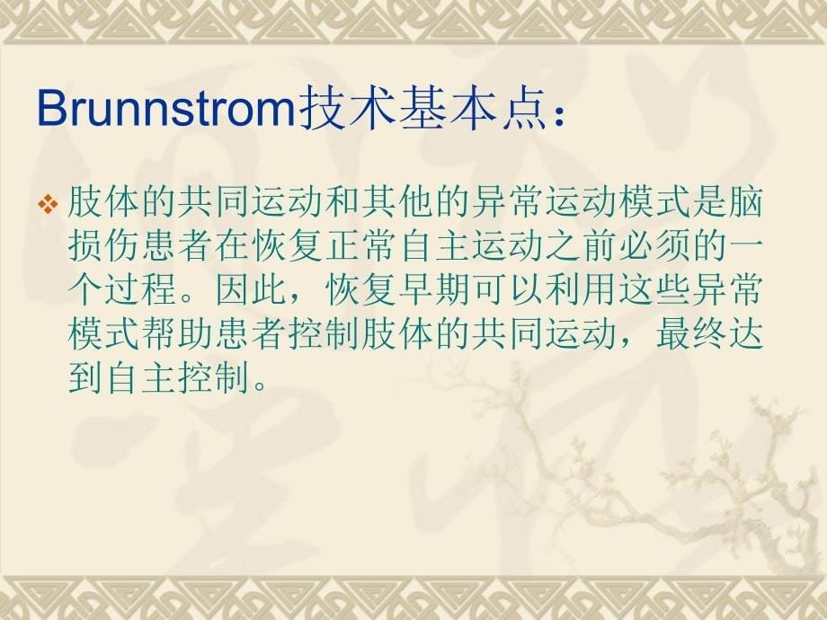 brunnstrom-技术 (1)_第5页