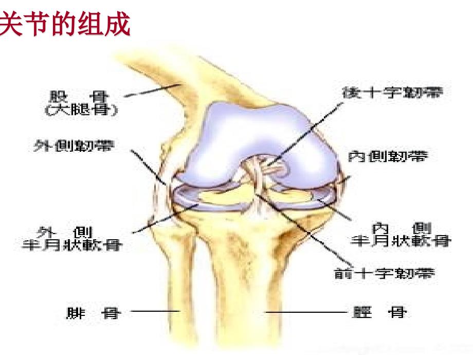 双膝关节置换王溶._第3页