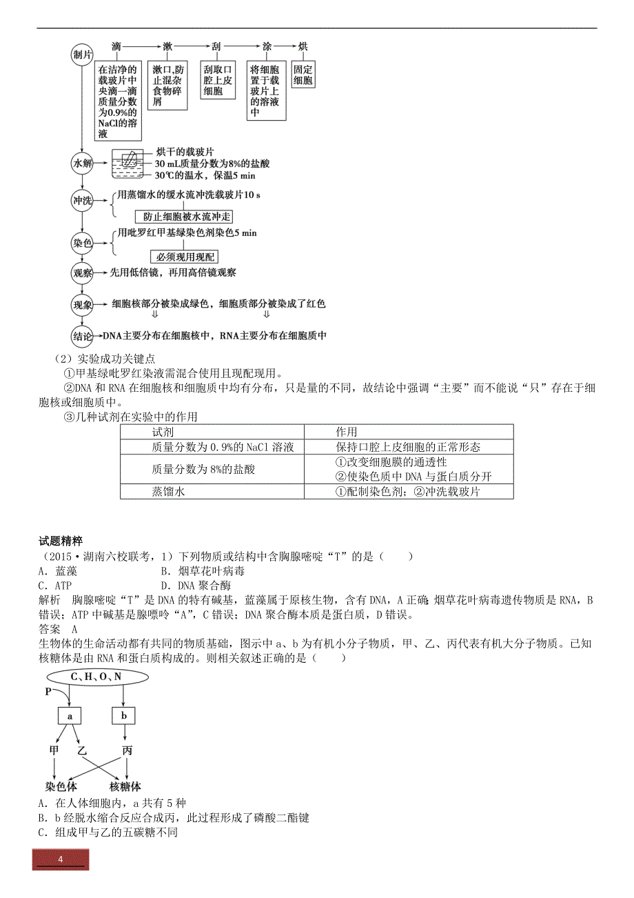 核酸、糖类和脂质._第4页