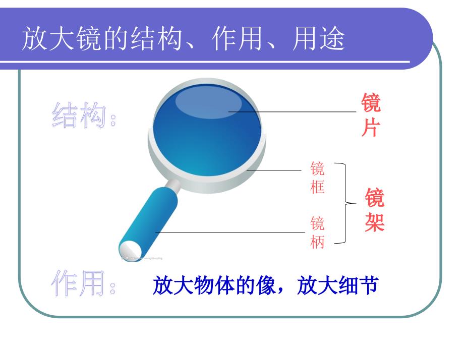 六下1.1放大镜讲义_第2页