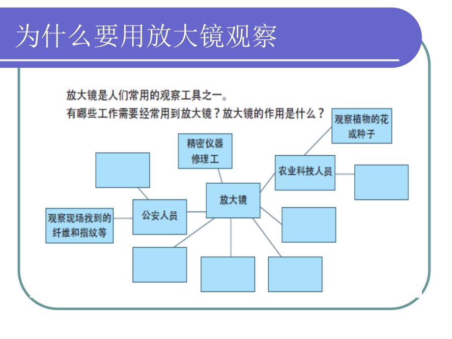 六下1.1放大镜讲义_第3页