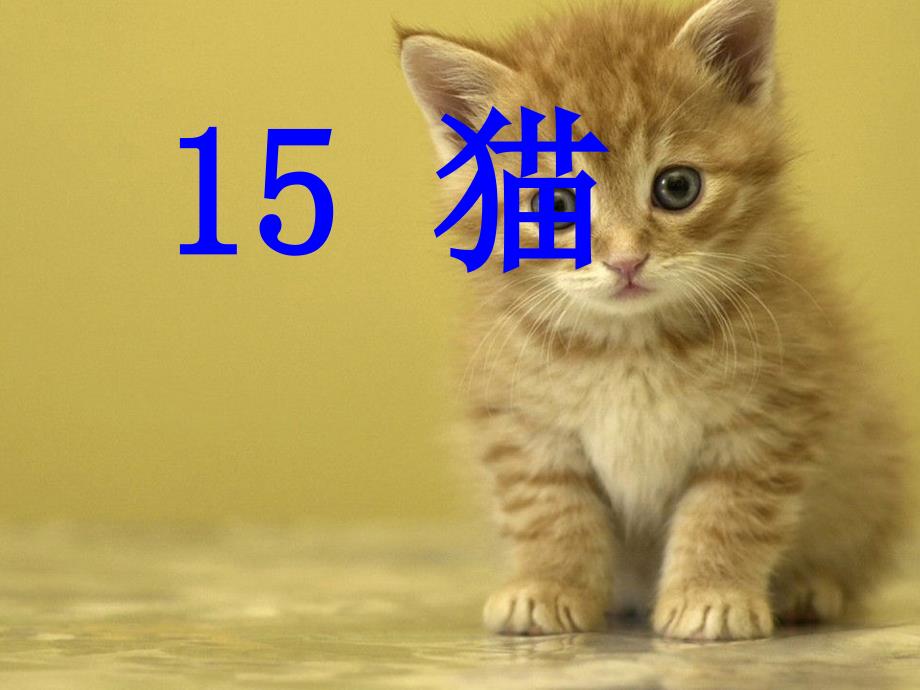 人教版本四年级语文上册《15.猫》_第2页