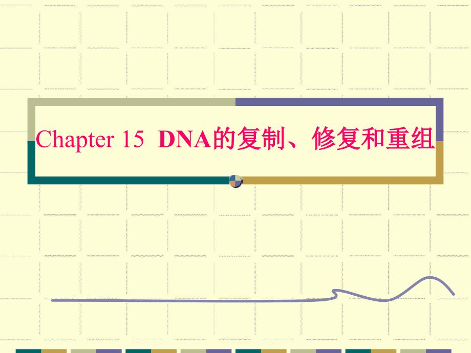 第十五章dna的复制、修复和重组._第1页