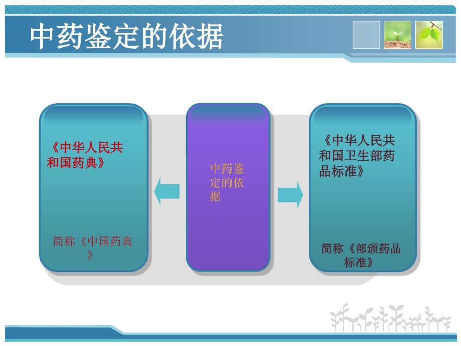 常用中药鉴定jiang(1)剖析_第4页