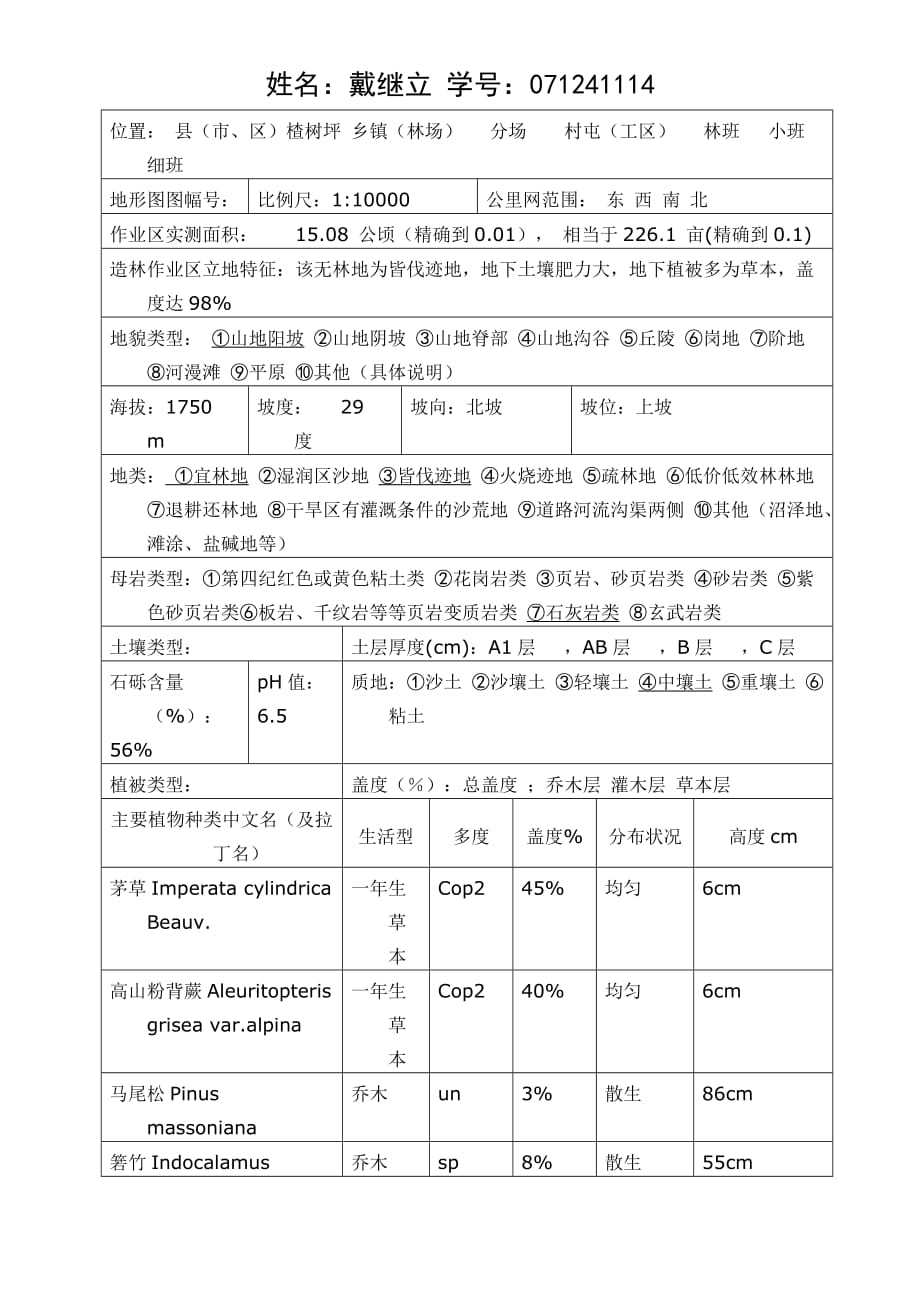 造林作业3._第2页