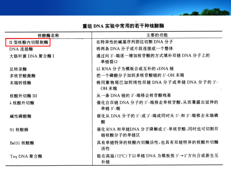 基因工程第二章 基因工程的酶学基础_第3页