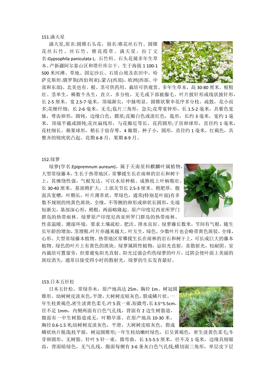 植物学实验3_第3页