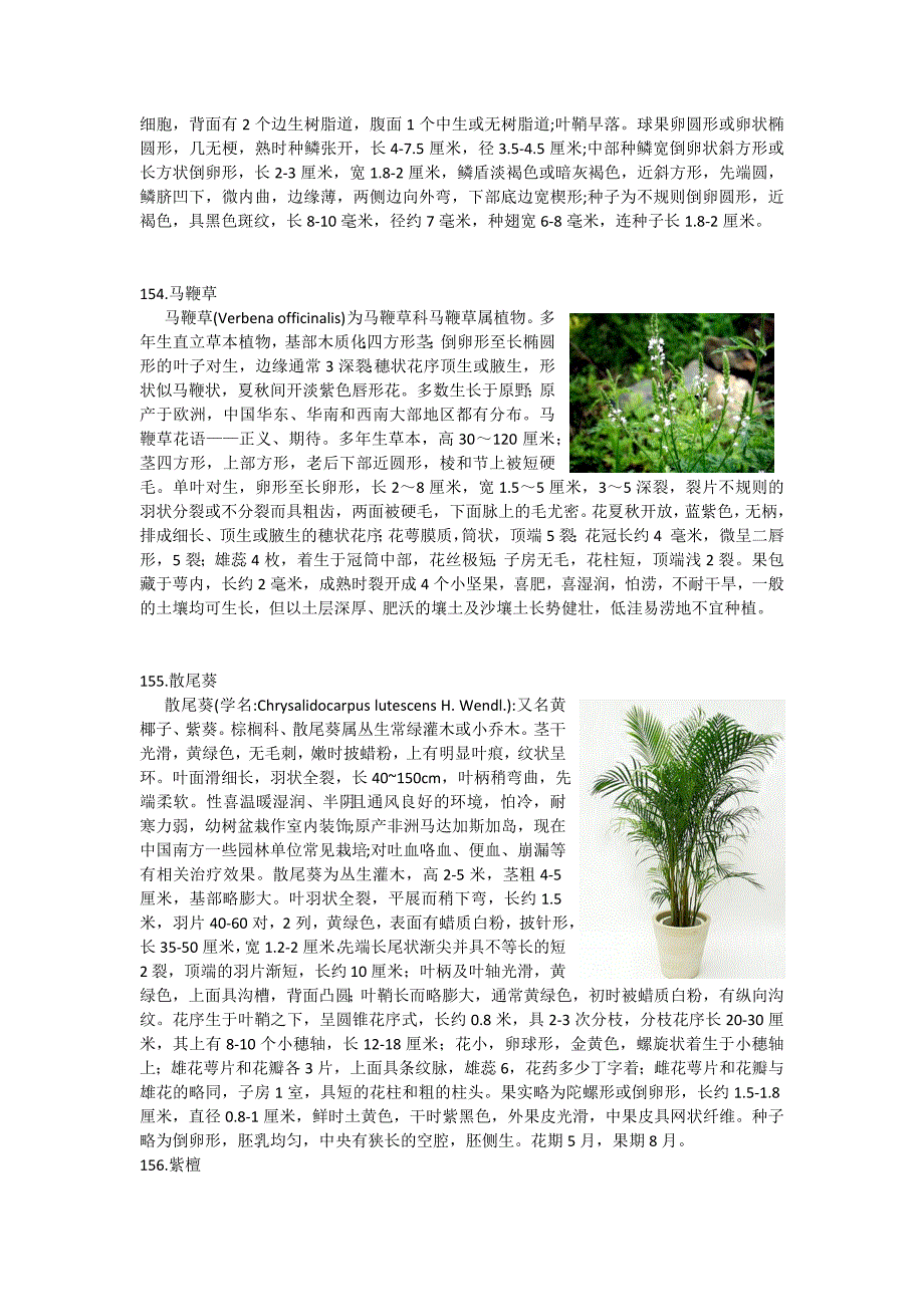 植物学实验3_第4页