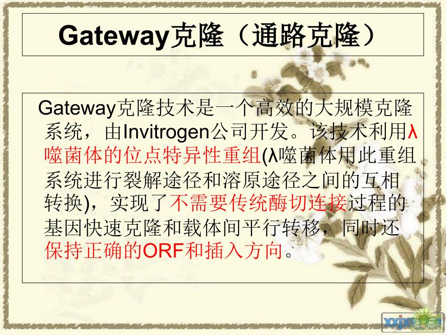 gateway载体构建系统剖析_第4页