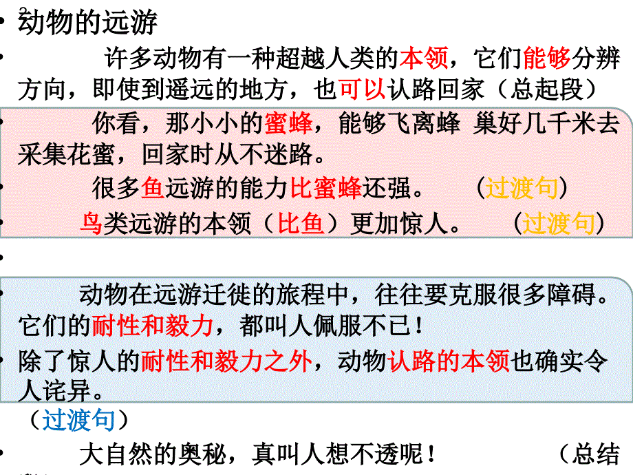 17动物的远游(2)剖析_第4页