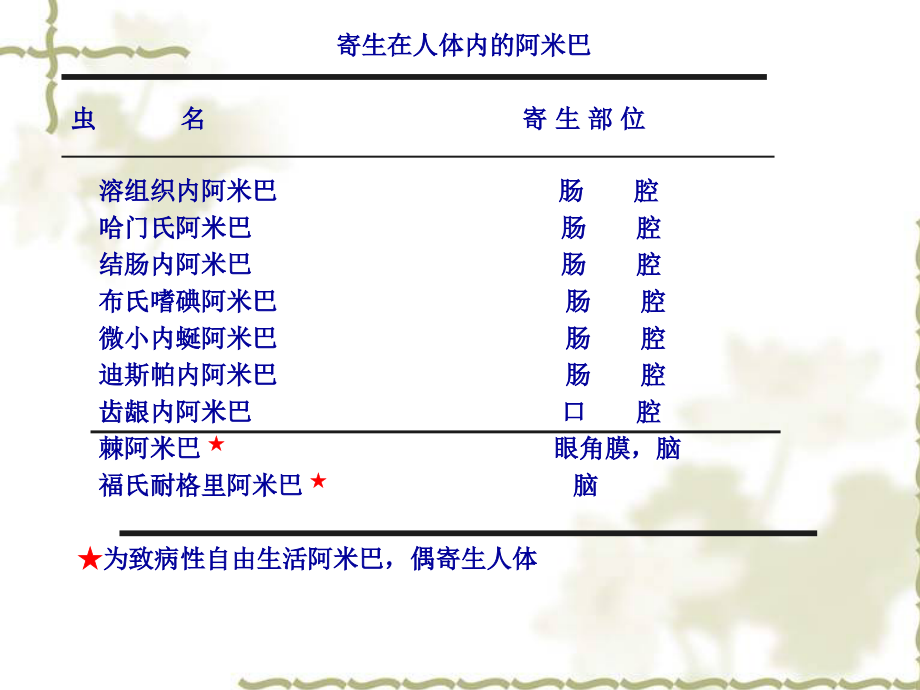 阿米巴课件(湘雅医学院-孙好运上传)_第4页