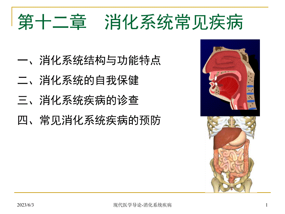 现代医学导论(消化)_第1页