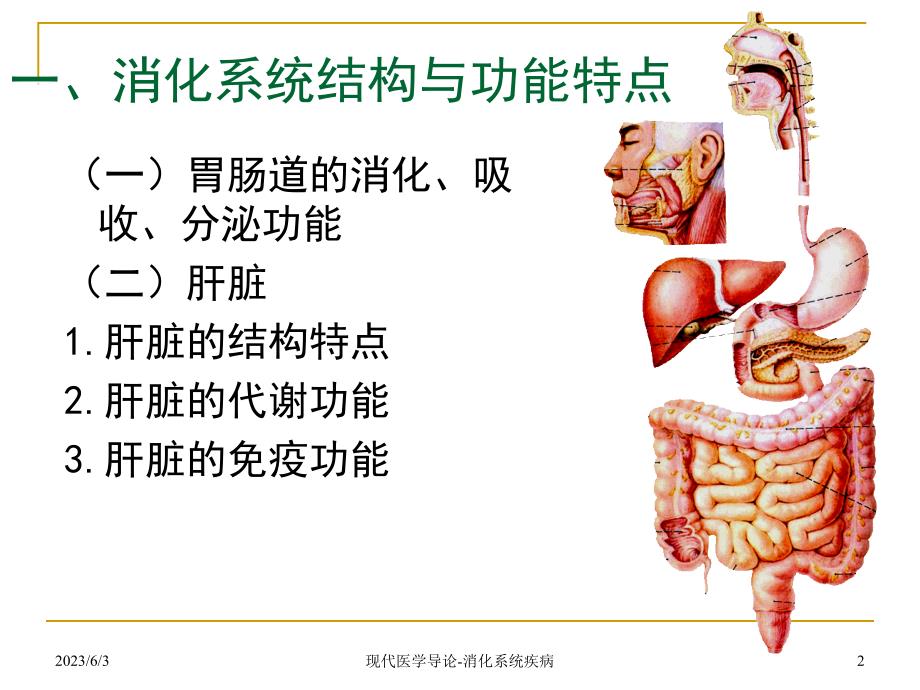 现代医学导论(消化)_第2页