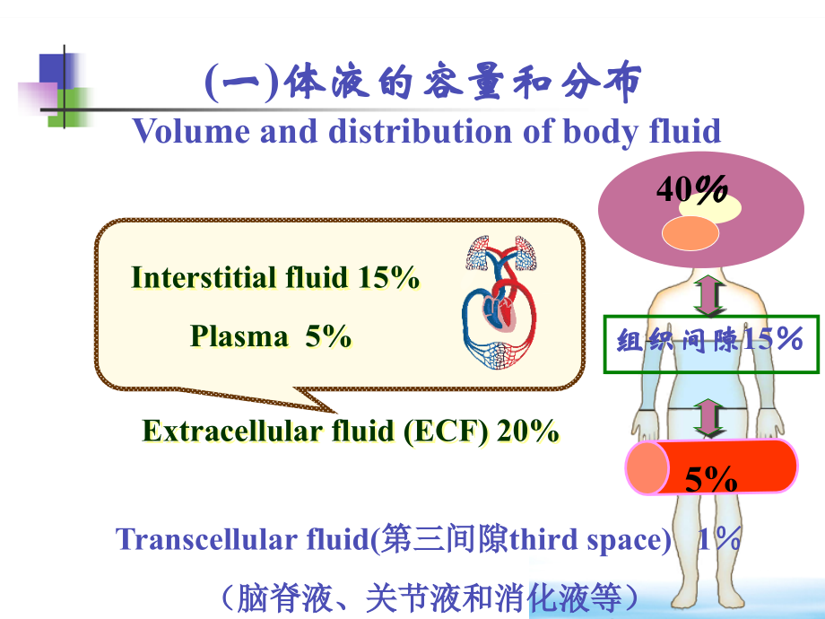 3 water electrocyte-sodium_第4页