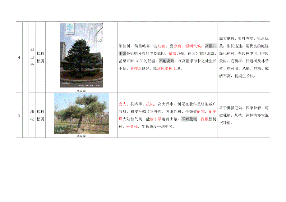 景观园林常用植物特性图文对照表汇总._第3页