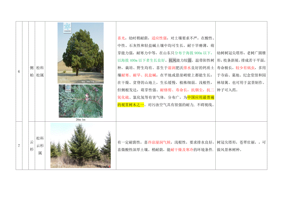 景观园林常用植物特性图文对照表汇总._第4页