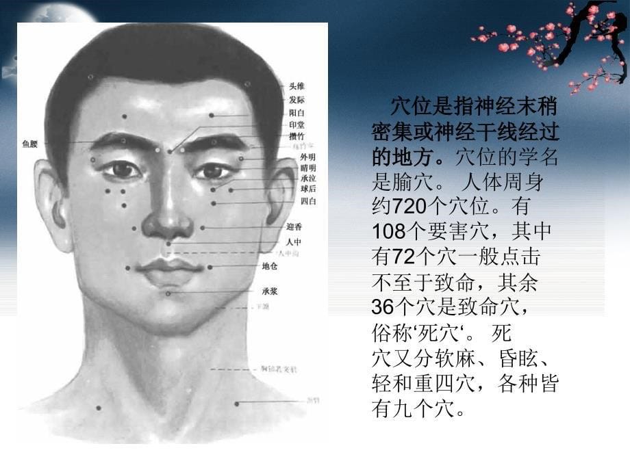 中国传统养生理论课件1_第5页