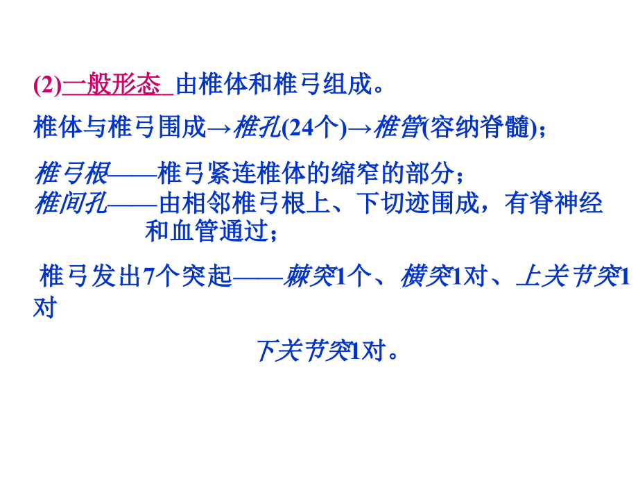 3躯干骨及其连结、颅骨及其连结概要_第4页