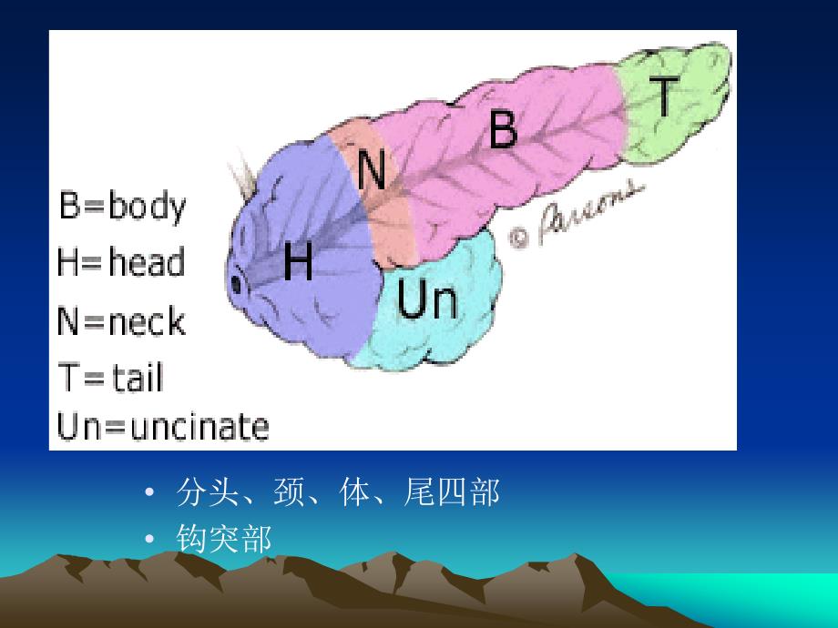 胰腺疾病--郭建平ppt2012_第3页