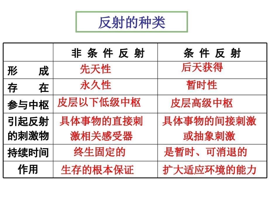 必修三.第二章.第1节.通过神经系统的调节剖析_第5页