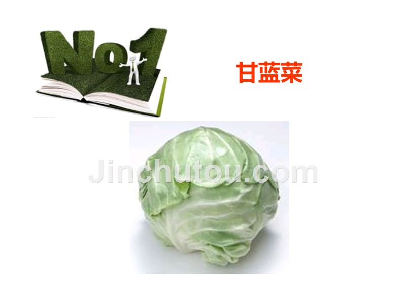 绿叶菜是营养宝库,谁是排行榜前两名讲义_第4页