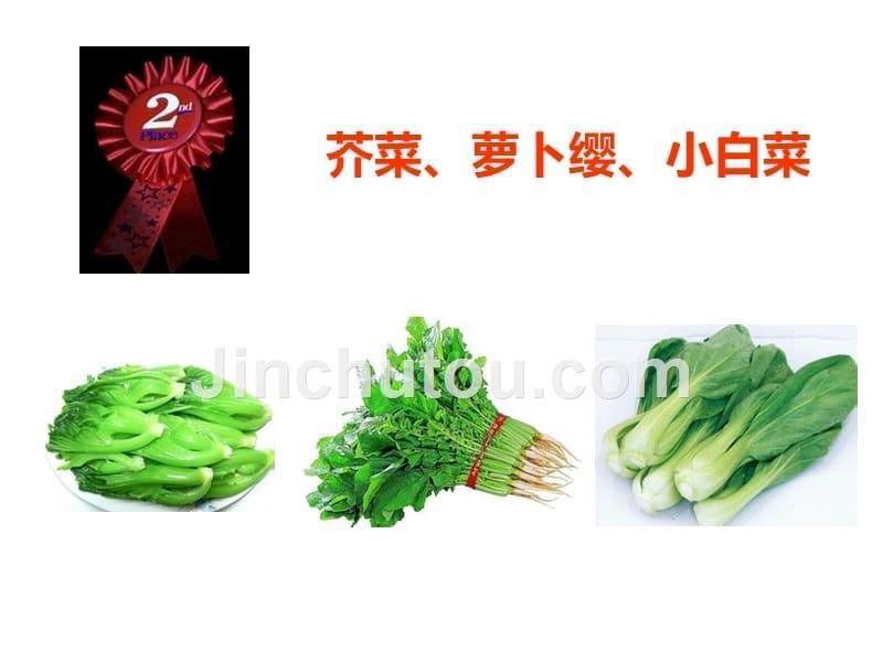 绿叶菜是营养宝库,谁是排行榜前两名讲义_第5页