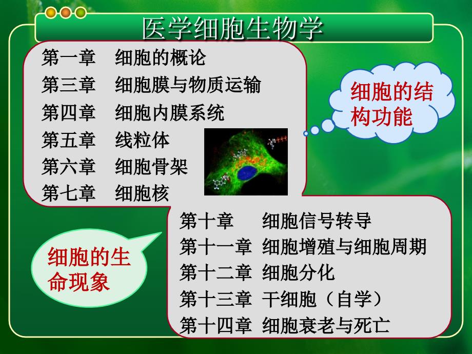 医学细胞生物学1一章概论16版_第4页