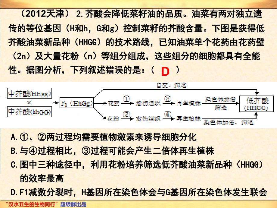 生物变异在育种上的应用(终稿)_第4页