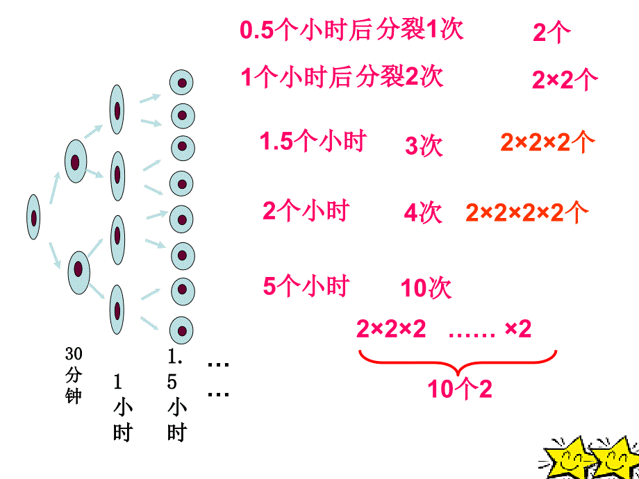 24.有理数的乘方概要_第4页