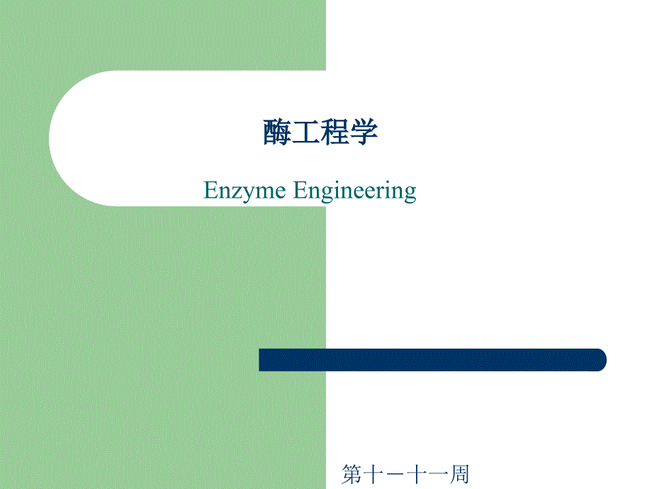 酶工程学-第十三、十四周固定化.._第1页