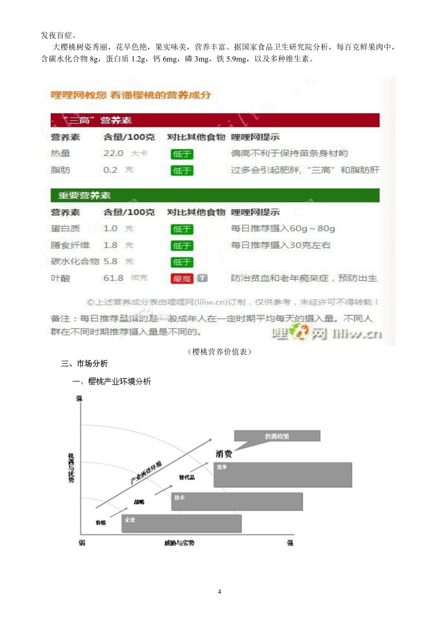 赤水樱桃营销策划._第4页