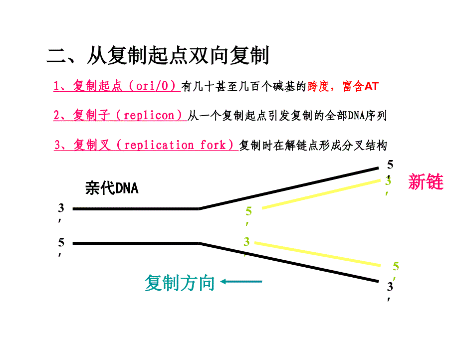 分子生物学第2章_第4页