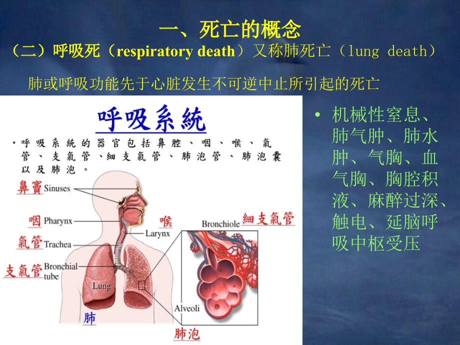 法医学课件2-死亡_第4页