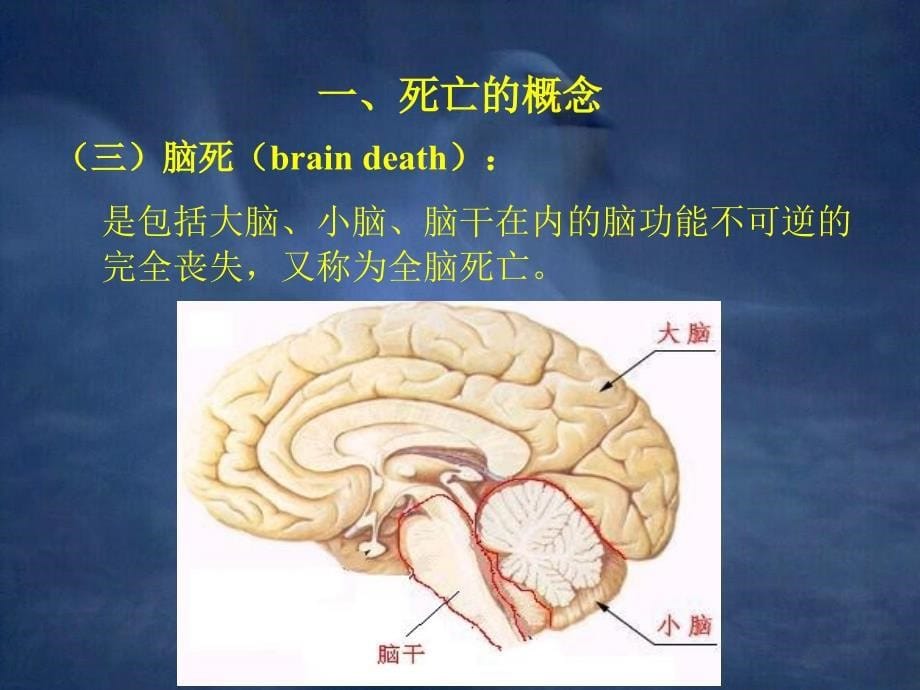 法医学课件2-死亡_第5页