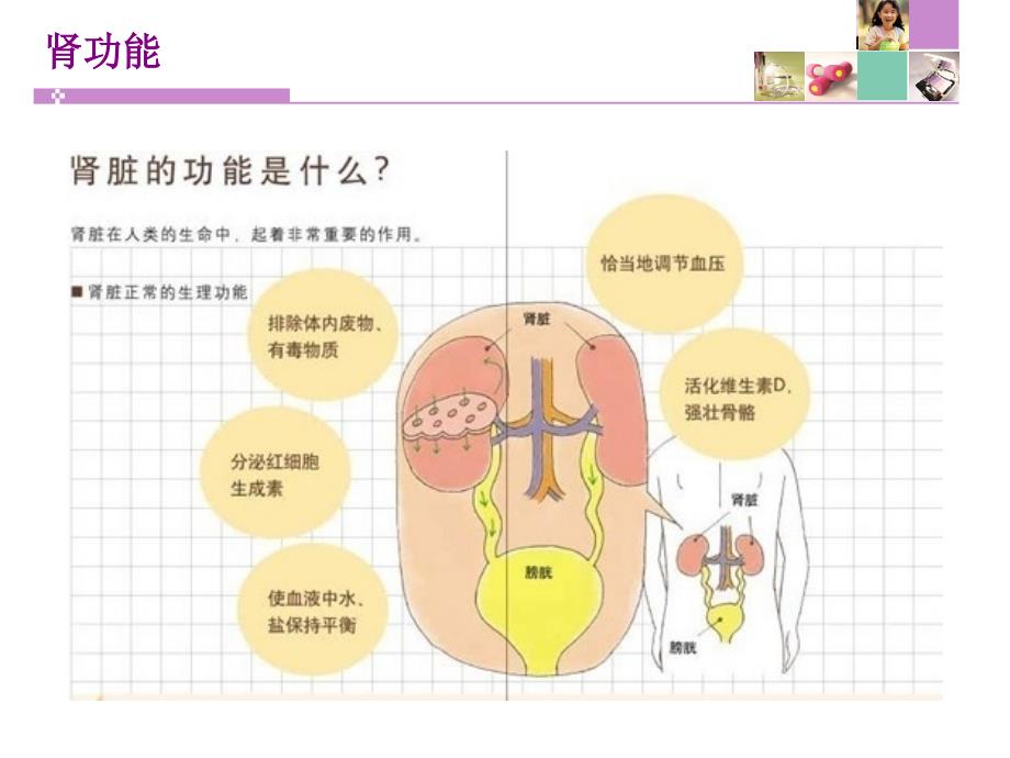 读懂体检报告-健康早知道(下)_第2页