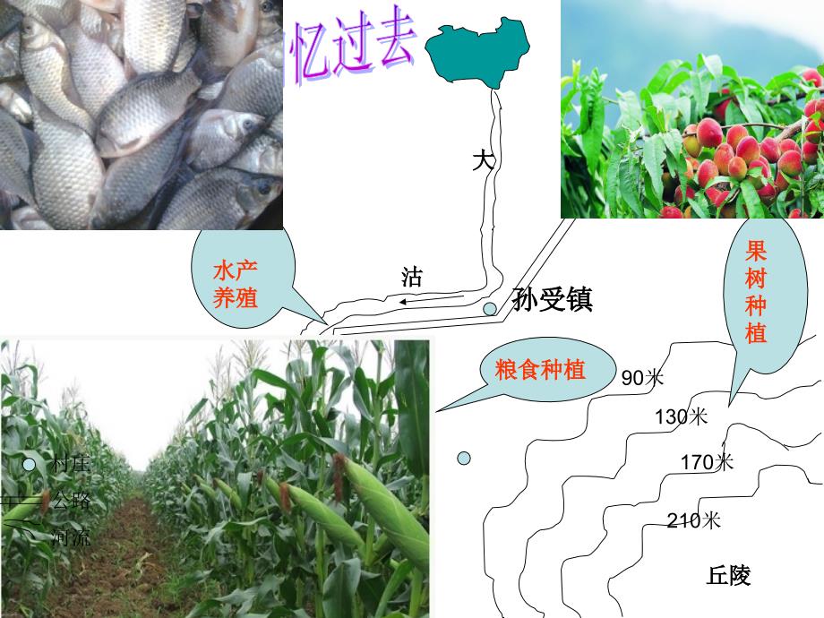 第二节农业 第二课时因地制宜发展农业_第3页