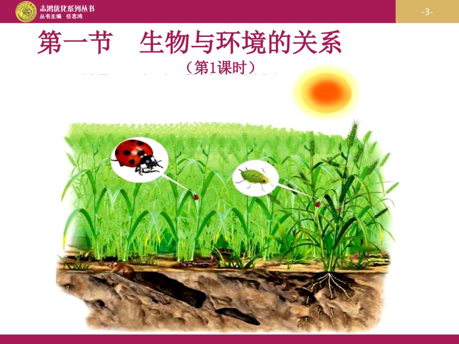 优秀教案(课时)—《生物与环境的关系》课件1讲义_第3页