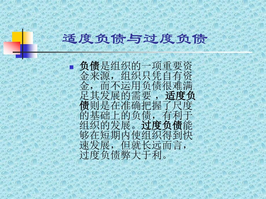 大学负债案例_第4页