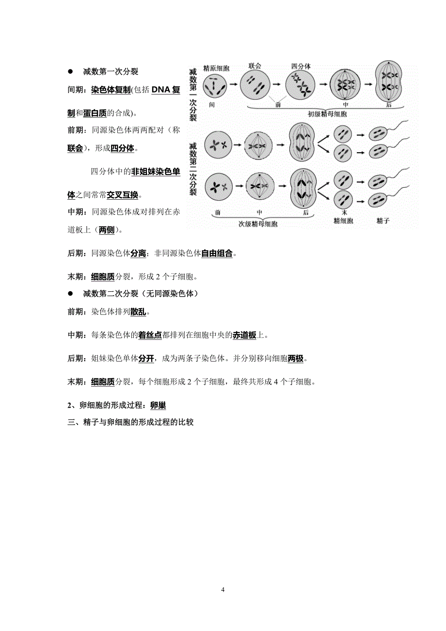 生物必修二知识整合答案._第4页