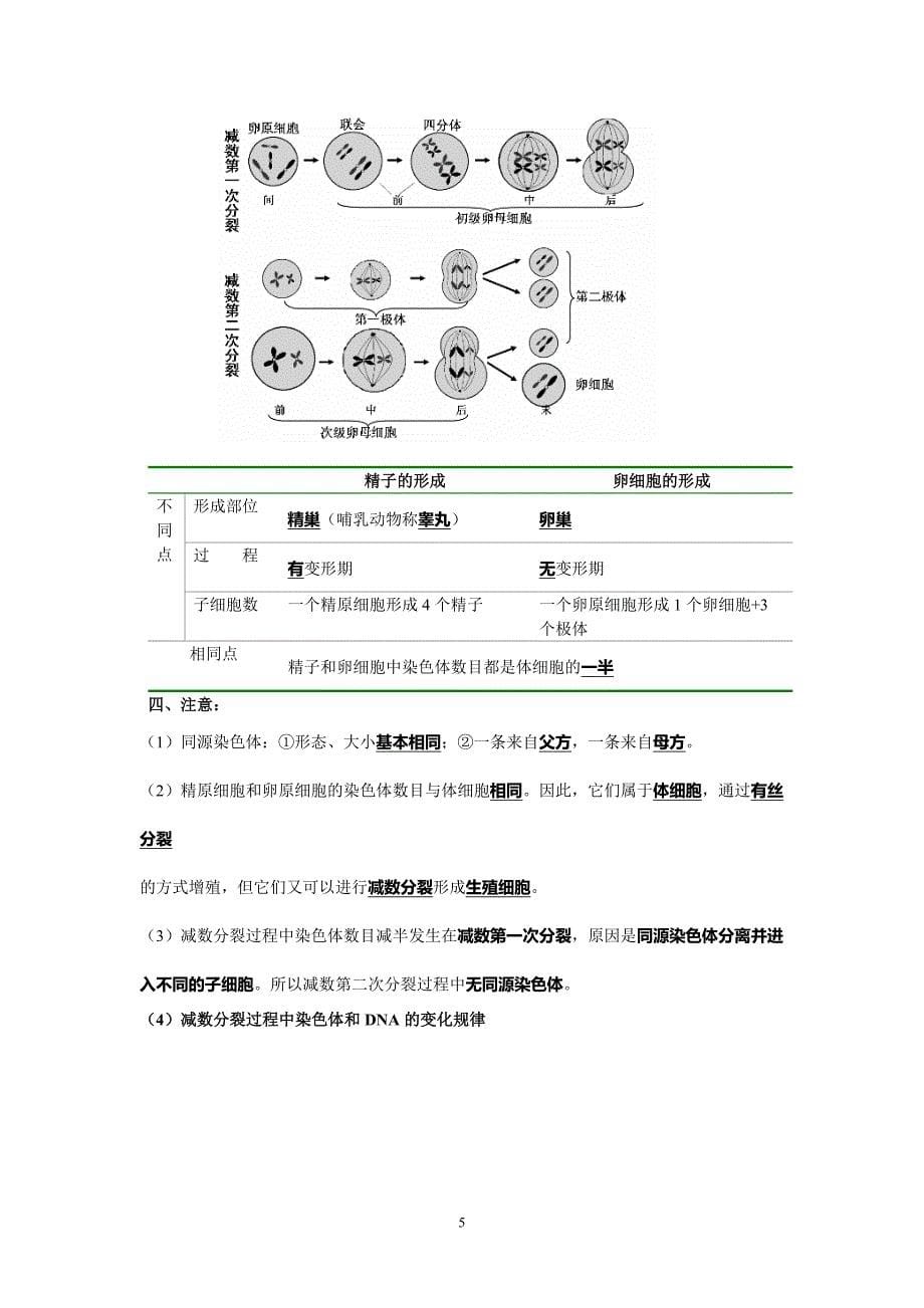 生物必修二知识整合答案._第5页