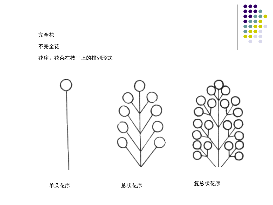 第三章_装饰图案的素材_第3页