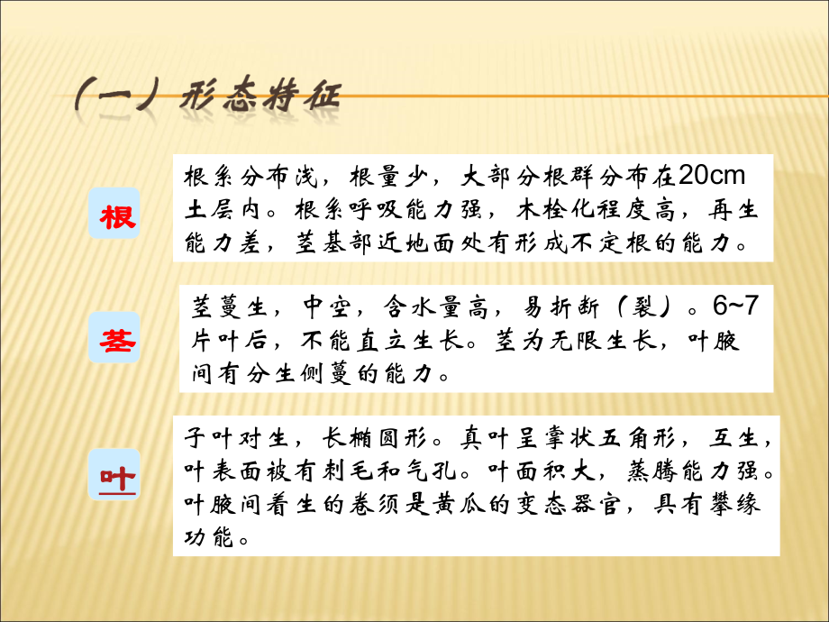 温室黄瓜栽培管理技术.._第3页