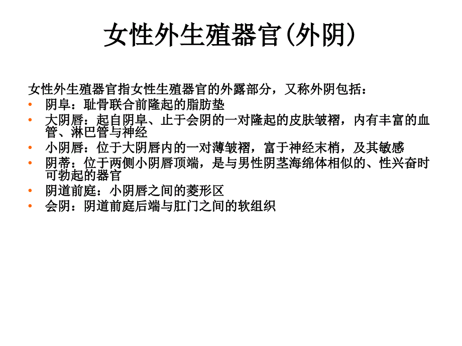 女性生殖器官剖析_第3页