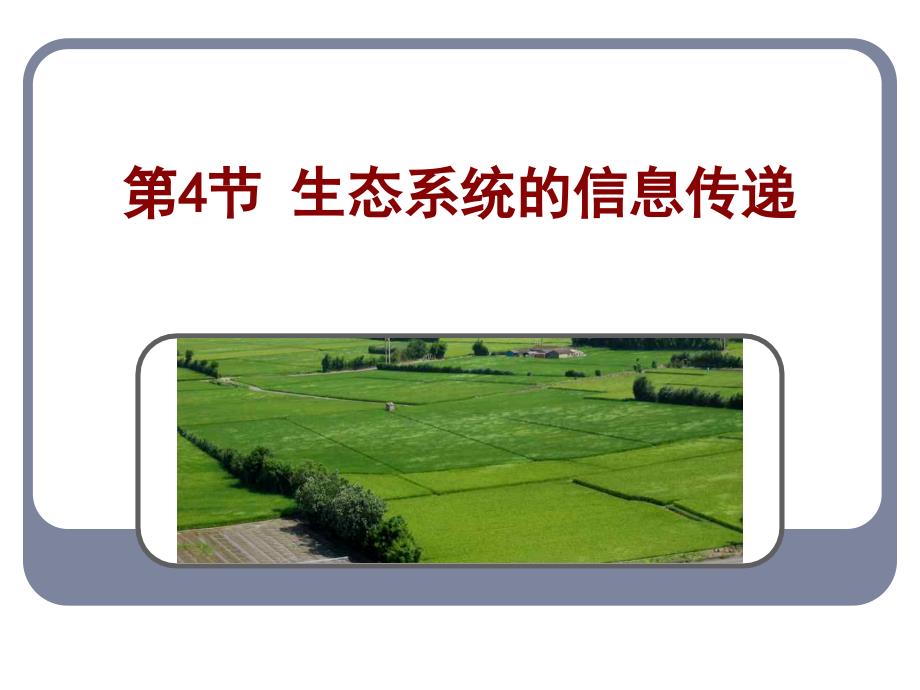 高中生物同步课件：5.4-生态系统的信息传递(3)(人教版必修3)_第2页