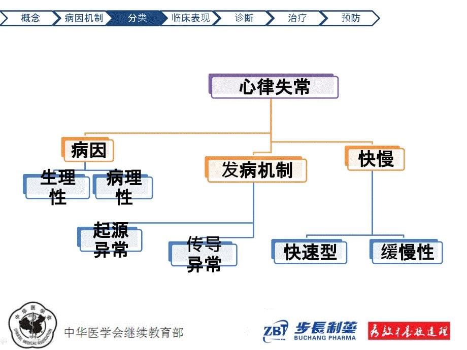 2012-稳心-09-《心律失常诊治》配套ppt_2_第5页